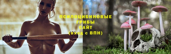 крисы Зеленодольск