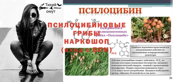 мдпв Заводоуковск