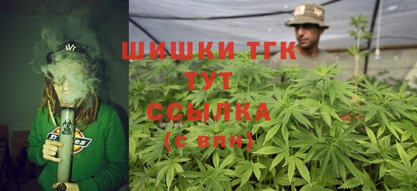 мдпв Заводоуковск