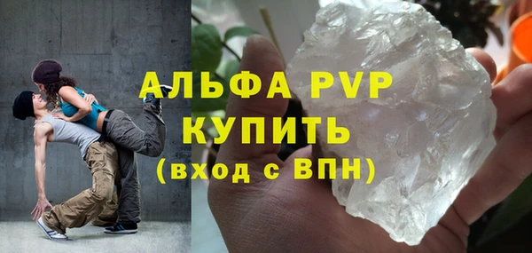 гашик Ельня