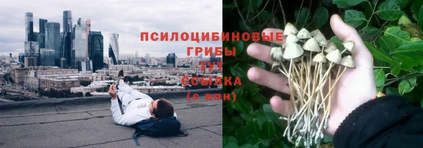 мдпв Заводоуковск