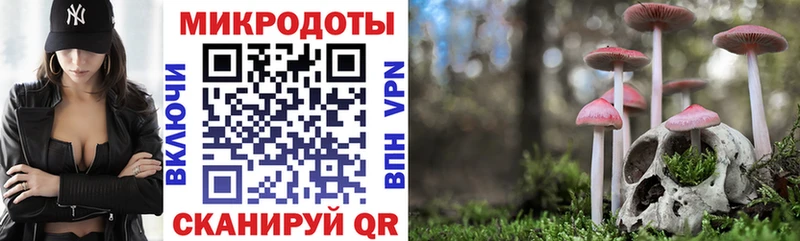 закладки  блэк спрут зеркало  Псилоцибиновые грибы мицелий  Остров 